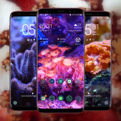 Play Coral Reef Wallpaper APK Play Coral Reef Wallpaper APK