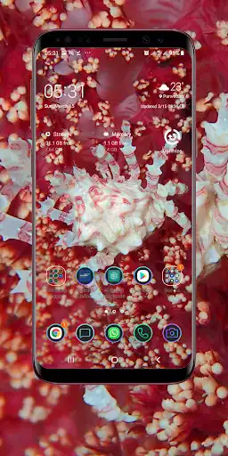 Play Coral Reef Wallpaper  and enjoy Coral Reef Wallpaper with UptoPlay