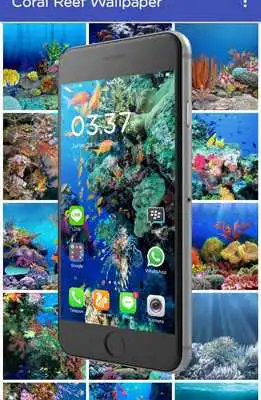 Play Coral Reef Wallpaper