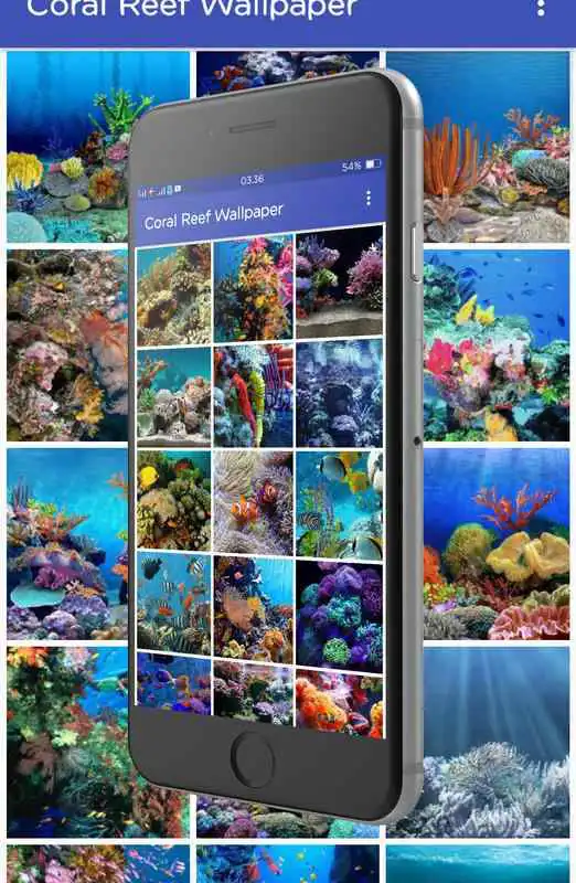 Play Coral Reef Wallpaper