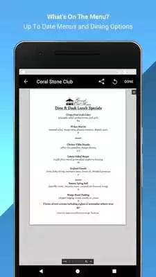 Play Coral Stone Club