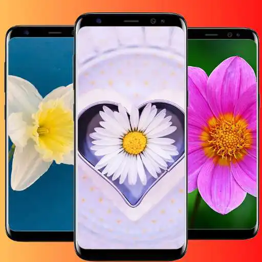 Play Corazones de amor APK