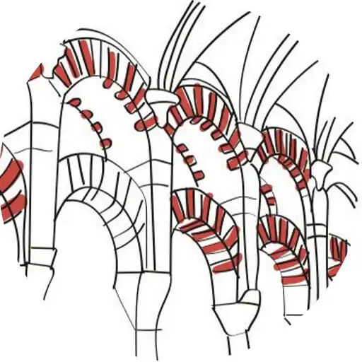 Play Cordoba, Cradle of Teaching APK Play Cordoba, Cradle of Teaching APK