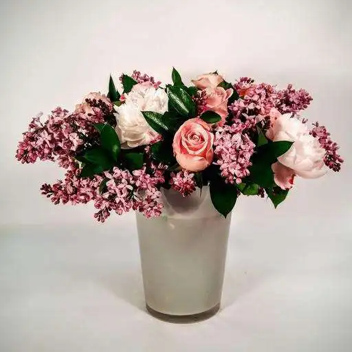 Play Coreopsis Flower APK