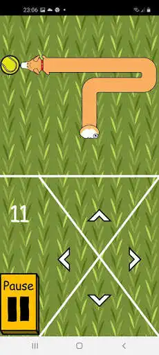 Play Corgi Snake as an online game Corgi Snake with UptoPlay