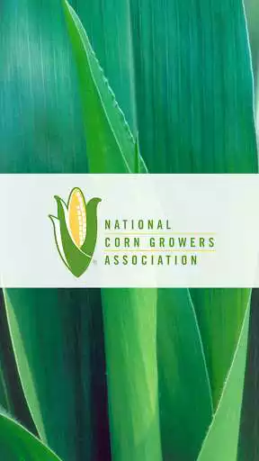 Play Corn Action  and enjoy Corn Action with UptoPlay