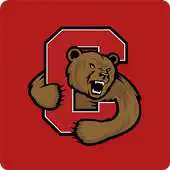 Free play online Cornell Emojis  Filters APK