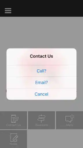 Play Cornerstone Pet Clinic