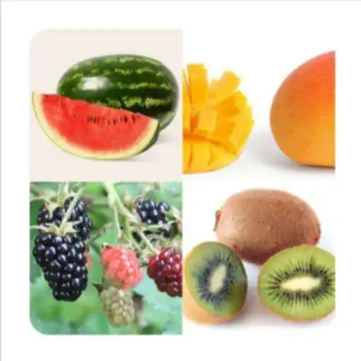 Play Correct The Answer APK