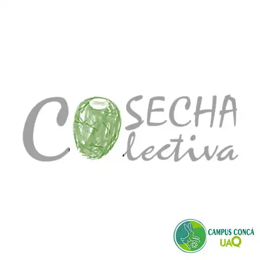 Play Cosecha Colectiva APK