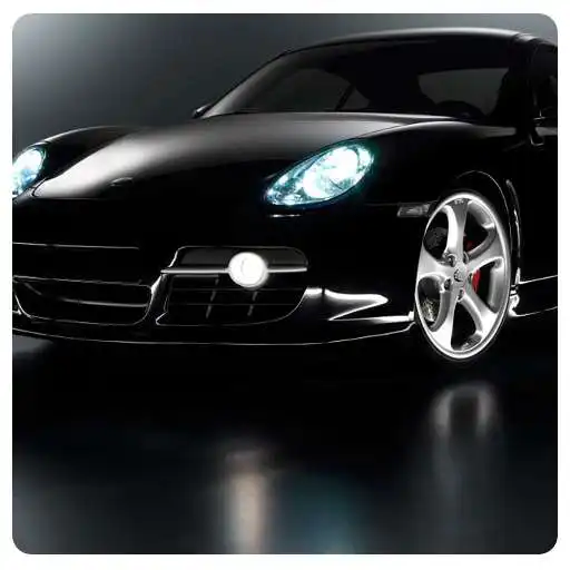 Play Cosmo Politan Road By Night APK