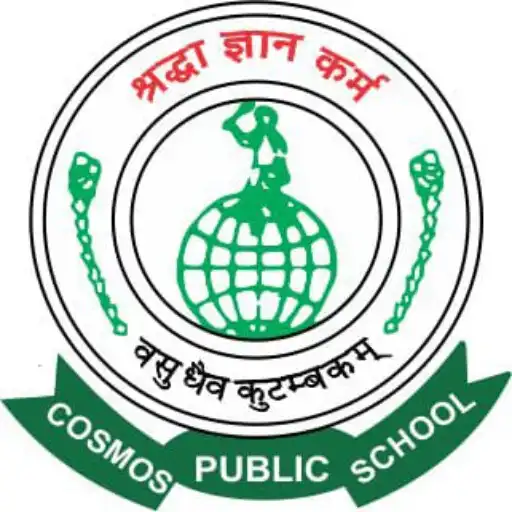Play Cosmos Public School, Hisar APK