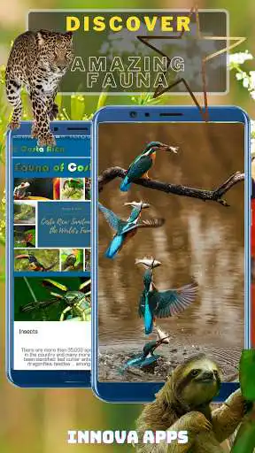 Play Costa Rica: A Natural Paradise as an online game Costa Rica: A Natural Paradise with UptoPlay