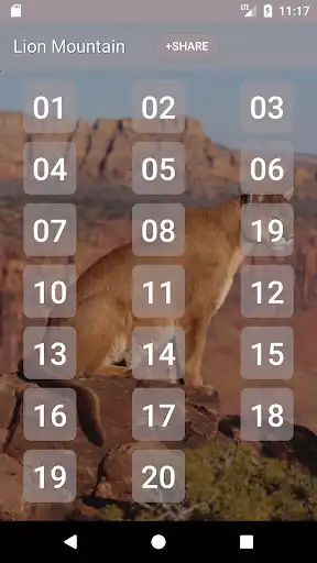 Play Cougar  Mountain Lion Sounds  and enjoy Cougar  Mountain Lion Sounds with UptoPlay