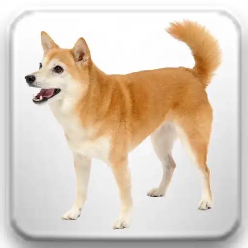 Play Counting Animals APK Play Counting Animals APK