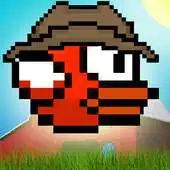 Free play online Country Bird APK Free play online Country Bird APK