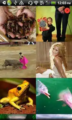 Play Country Facts Colombia Play Country Facts Colombia