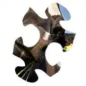 Free play online Country Puzzle APK