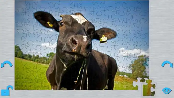Play Country Puzzle Play Country Puzzle