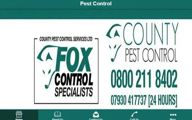 Play County Pest Control Services