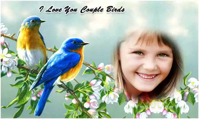 Play Couple Birds Photo Frames