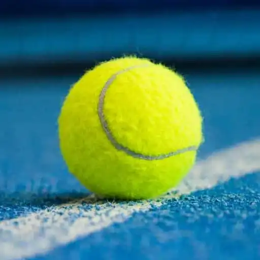 Play Court4u APK