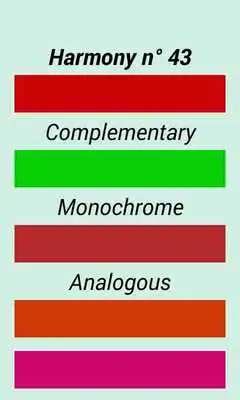 Play C- Outfit Style - What to Wear