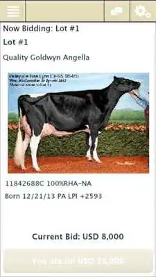 Play Cowbuyer Livestock Auctions
