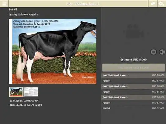 Play Cowbuyer Livestock Auctions