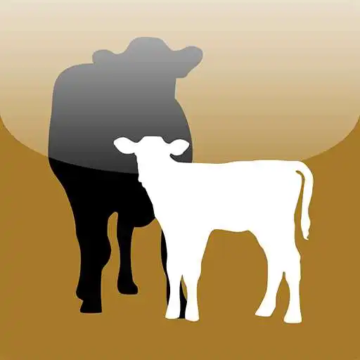 Play Cow-Calf Today APK Play Cow-Calf Today APK
