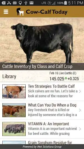 Play Cow-Calf Today  and enjoy Cow-Calf Today with UptoPlay