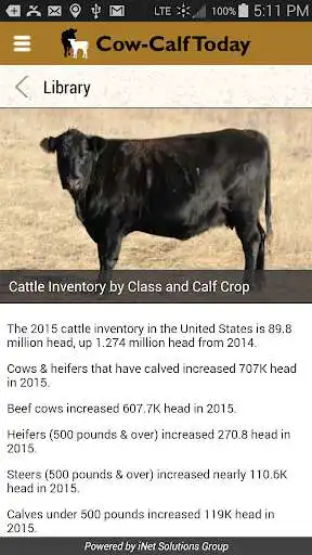 Play Cow-Calf Today as an online game Cow-Calf Today with UptoPlay