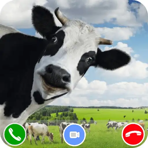 Play Cow Dance Video Call Prank APK Play Cow Dance Video Call Prank APK