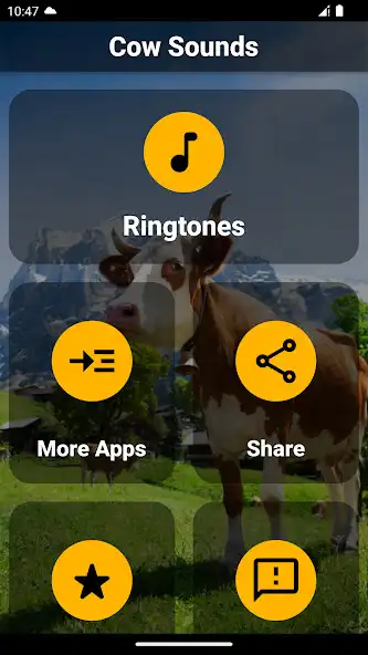 Play Cow Ringtones  Sounds  and enjoy Cow Ringtones  Sounds with UptoPlay