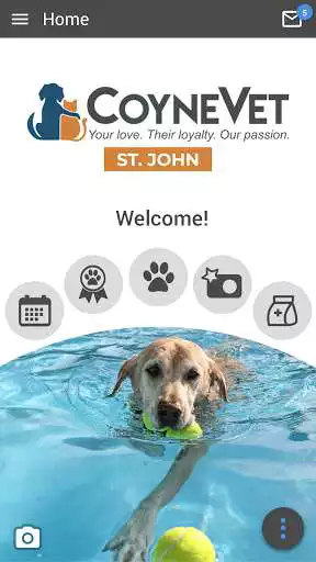 Play Coyne Vet St John