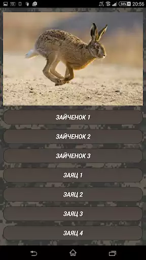 Play Coyote hunting calls  and enjoy Coyote hunting calls with UptoPlay