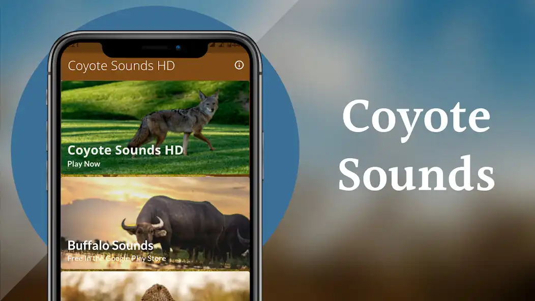 Play Coyote Sounds  Calls  and enjoy Coyote Sounds  Calls with UptoPlay
