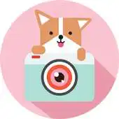 Free play online Cozy Camera-PhotoVideo Editor APK Free play online Cozy Camera-PhotoVideo Editor APK