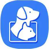 Free play online CPF Animal APK