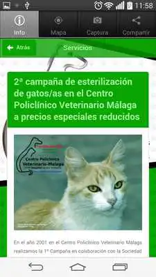 Play CPVM Dr. Flores