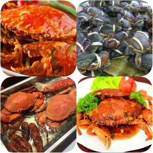 Play crab cultivation APK Play crab cultivation APK