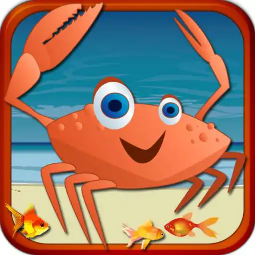 Run free android online Crab Hunger APK Run free android online Crab Hunger APK