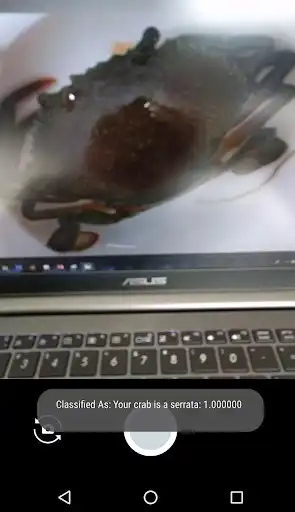 Play Crabifier  and enjoy Crabifier with UptoPlay