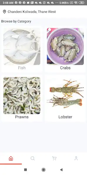 Play CRABnFISH and enjoy CRABnFISH with UptoPlay Play CRABnFISH and enjoy CRABnFISH with UptoPlay