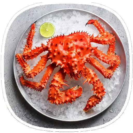 Free play online Crab Recipes APK Free play online Crab Recipes APK