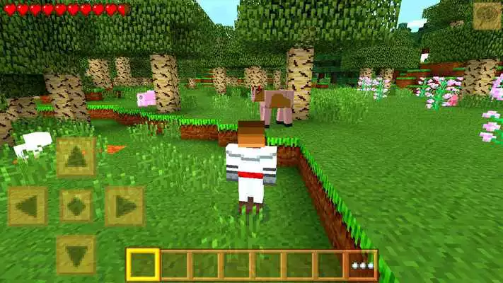 Play Craft Build 2: Explore