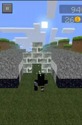 Play Craft Heroes Run