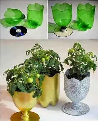 Play Crafts From Bottle
