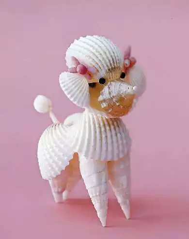 Play Craft Shells Play Craft Shells