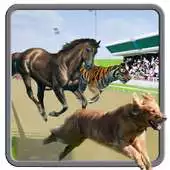 Free play online Crazy Animal Racing APK Free play online Crazy Animal Racing APK